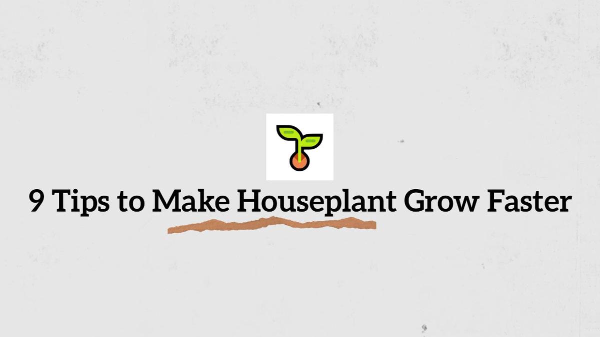 'Video thumbnail for 9 Tips to Growing Houseplants Faster (2021)'