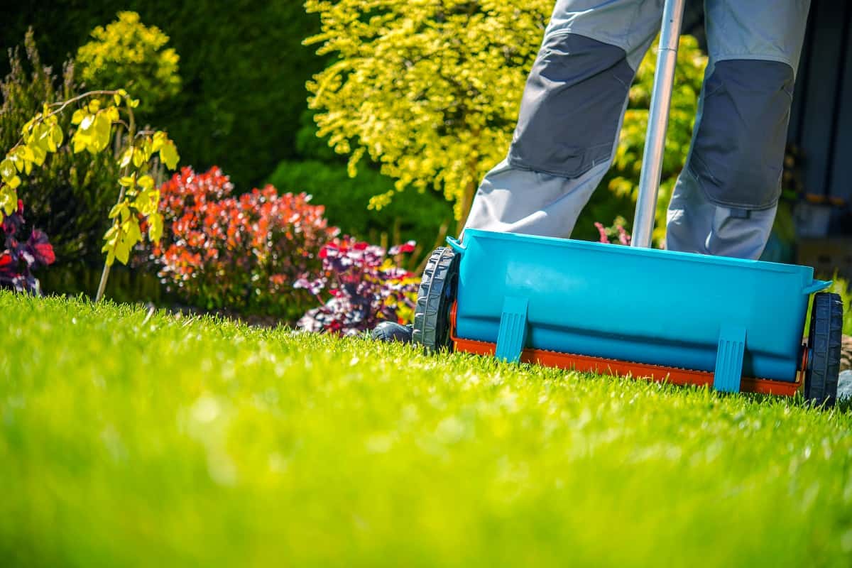 The Best Weed and Feed for Spring Lawn Application