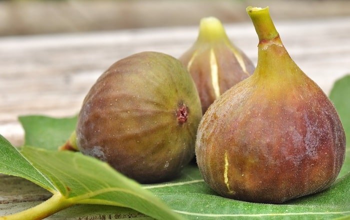 Harvesting Ripe Figs