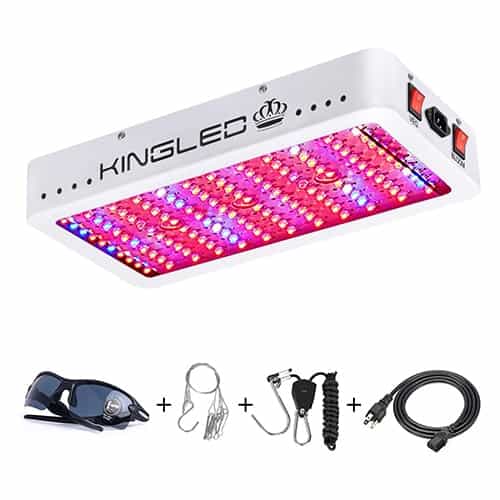 King Plus 1200w LED Grow Light for Greenhouse Indoor