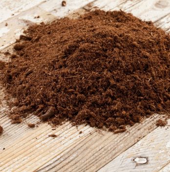 What Is Sphagnum Peat Moss And How To Use It