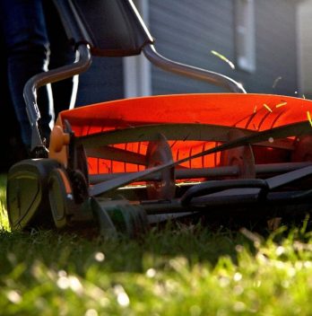 7 Best Reel Mower For Your Lawn