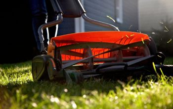 7 Best Reel Mower For Your Lawn