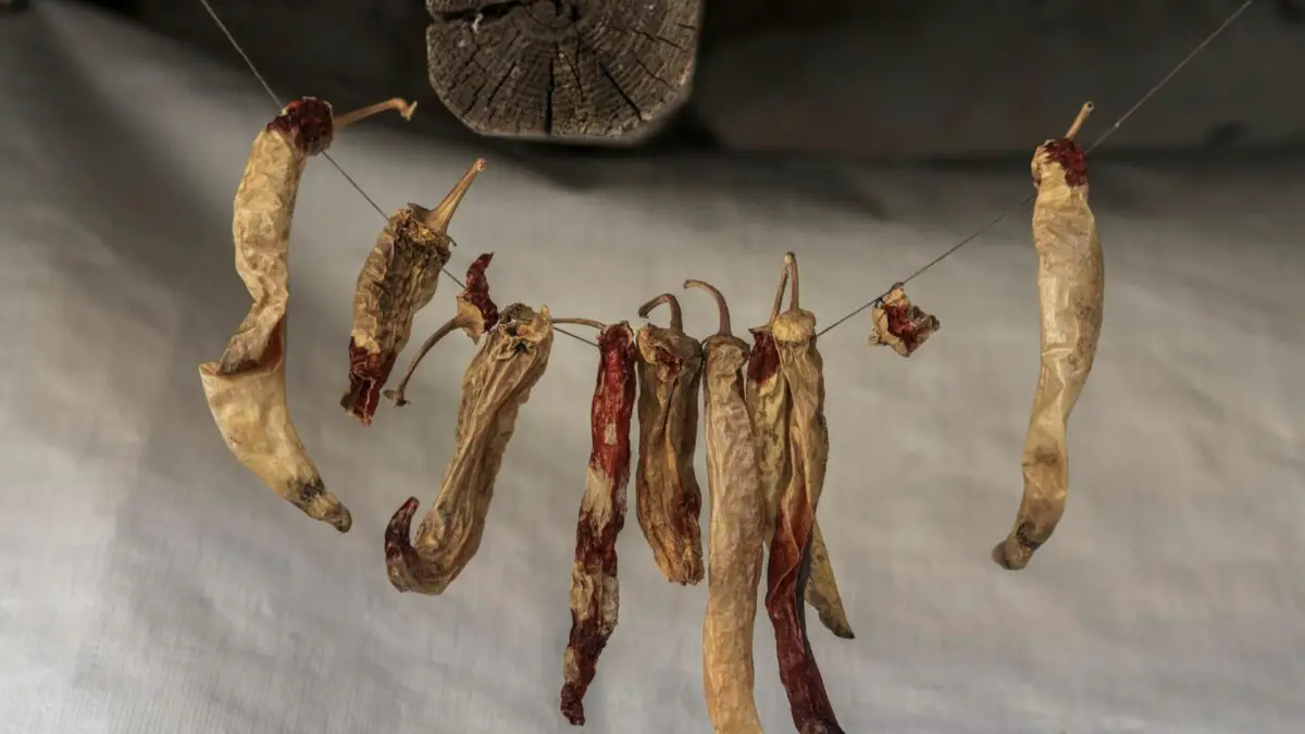 how to dry chillies in the microwave