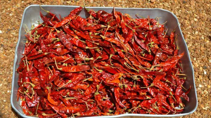 how to dehydrate peppers