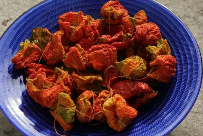 Steps on How to Dry Peppers