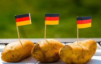 How To Grow German Butterball Potato