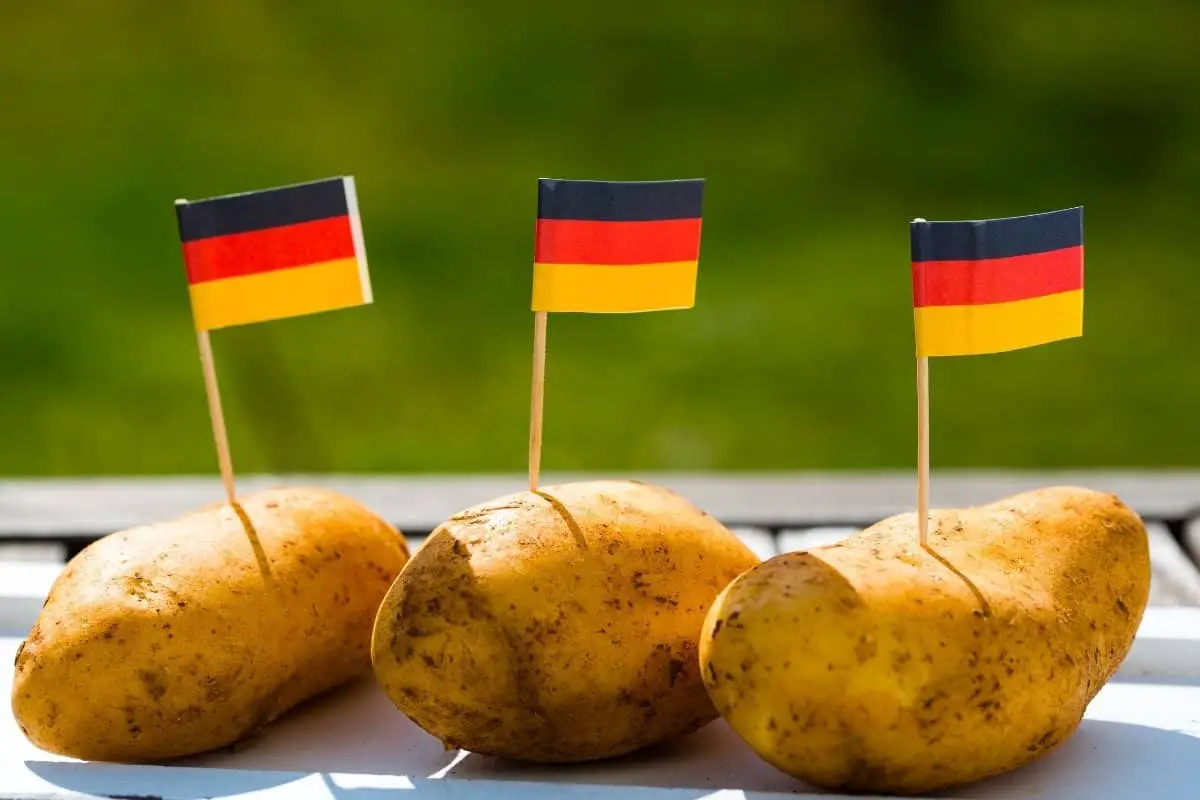 How To Grow German Butterball Potato