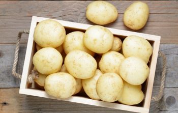 How To Store Potatoes From The Garden