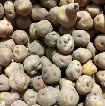 Kennebec Potatoes - A Guide On How To Grow