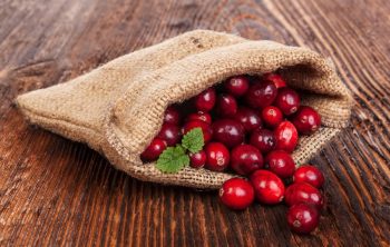 What Identifies a Cranberry as Ripe