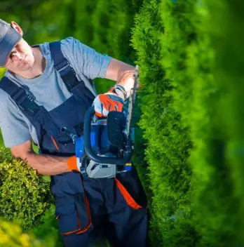 3 Best Battery Operated Hedge Trimmer In 2021