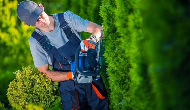 3 Best Battery Operated Hedge Trimmer In 2021