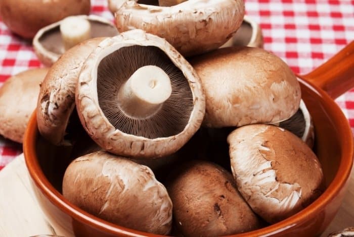 What Are Portabello Mushrooms