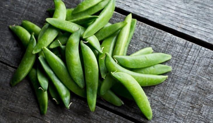 Growing Sugar Snap Peas in Containers