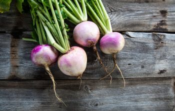 Do turnips have seeds - A quick look