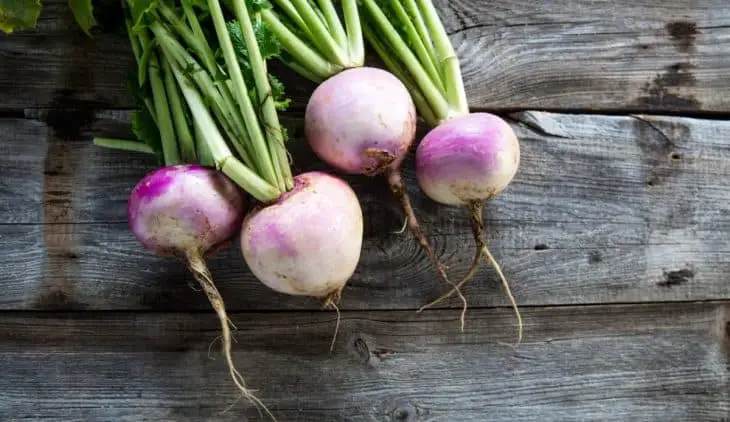 Do turnips have seeds - A quick look