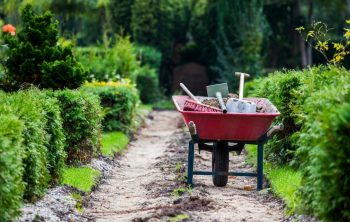 Poly vs. Steel Wheelbarrow - The Differences