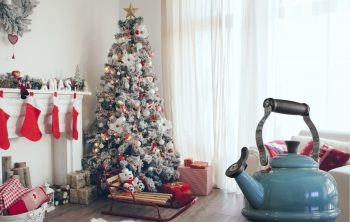 Boil Water for Christmas trees – A Myth or It works?