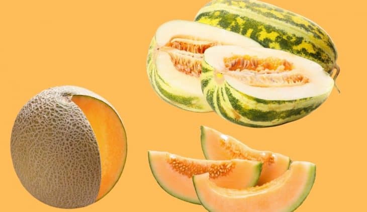What is the Difference Between Cantaloupe and Muskmelon