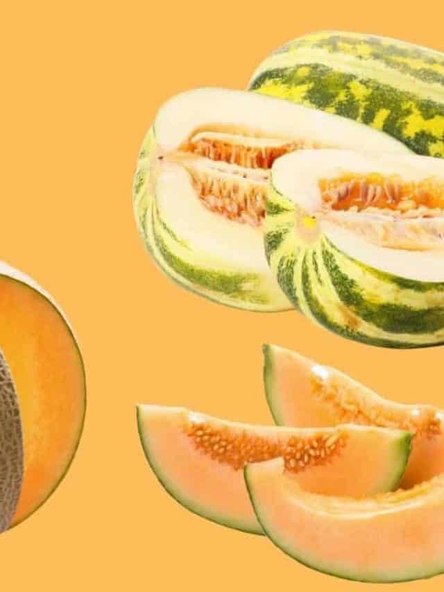 cropped-What-is-the-Difference-Between-Cantaloupe-and-Muskmelon.jpg