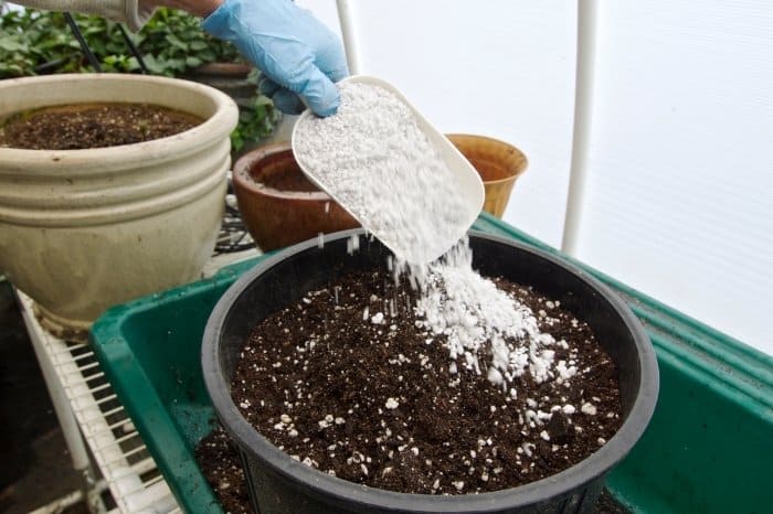 How To Use Perlite In Gardening