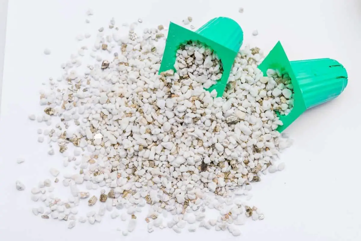 Where to Buy Perlite – and its Uses