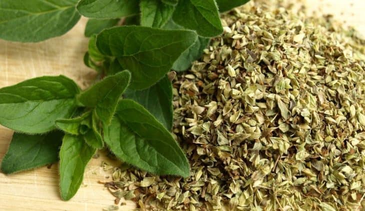 Does Oregano Come Back Every Year?