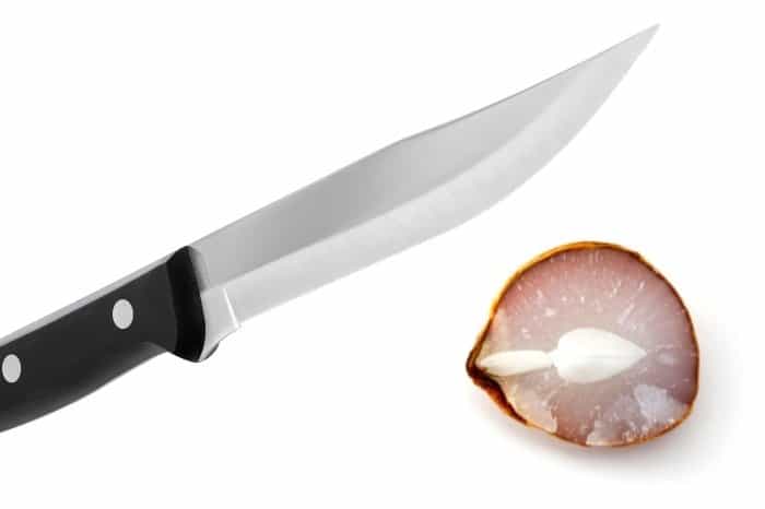 How To Cut A Persimmon Seed