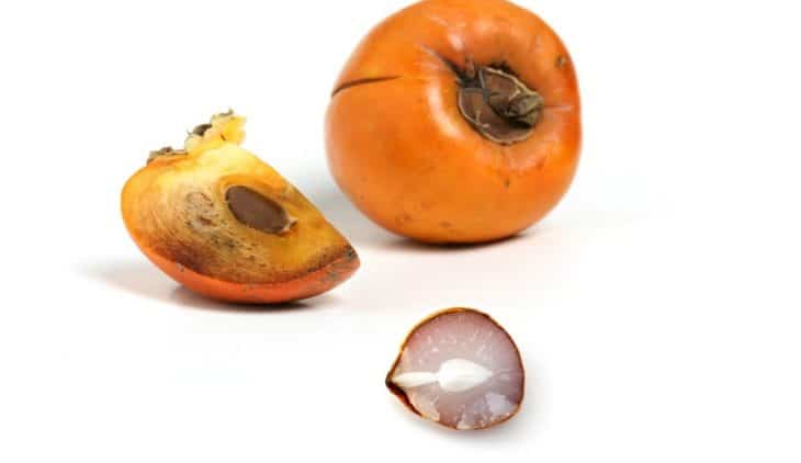 How to Open a Persimmon Seed