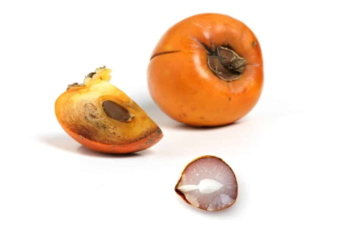 How to Open a Persimmon Seed