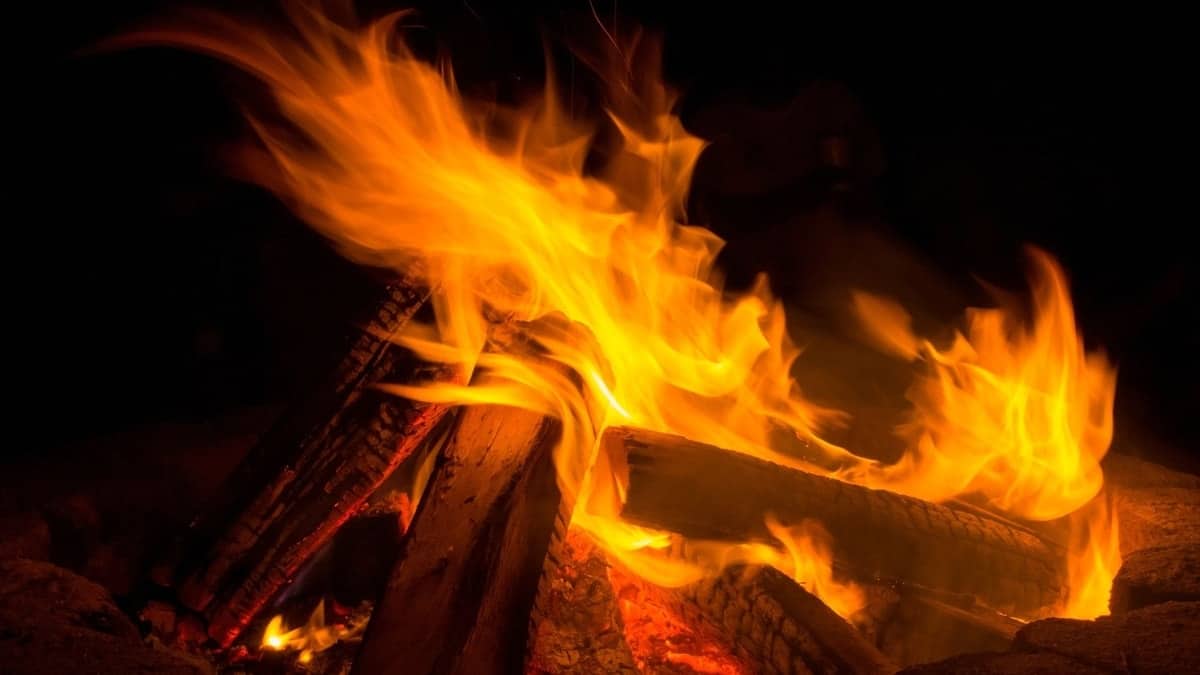 What Wood Burns the hottest