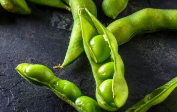 When to Harvest Edamame - A Quick Guide