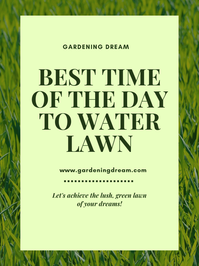 Best Time of the Day to Water Lawn
