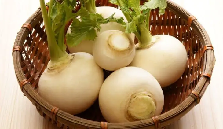 How long do turnips take to grow?