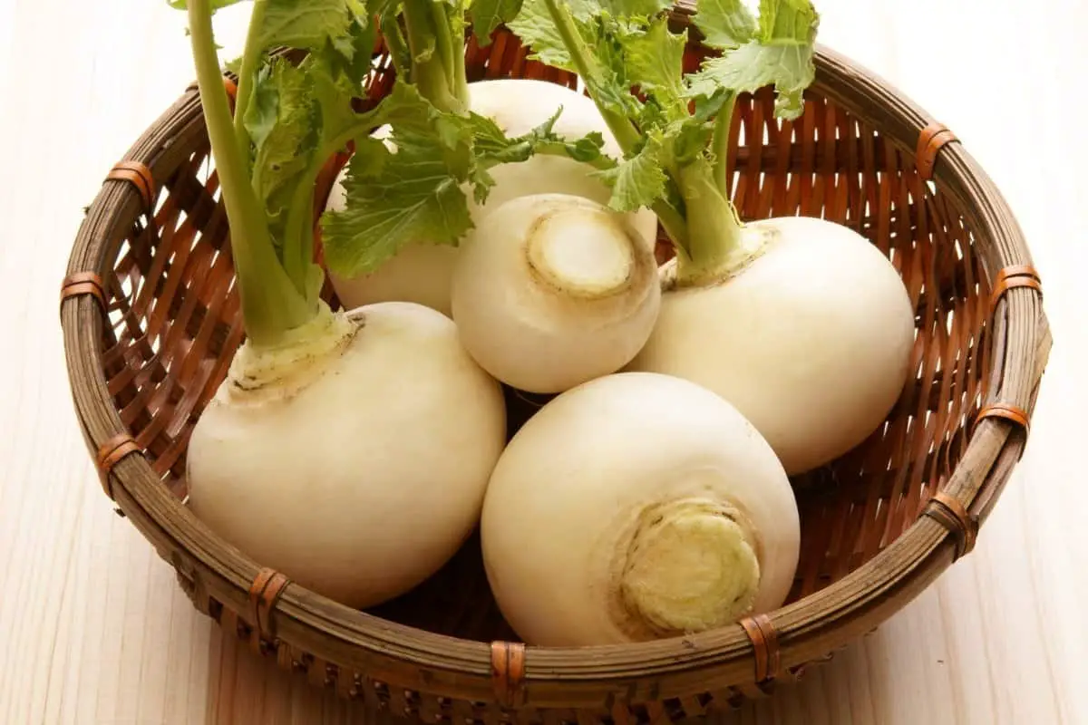How Long Do Turnips Take To Grow
