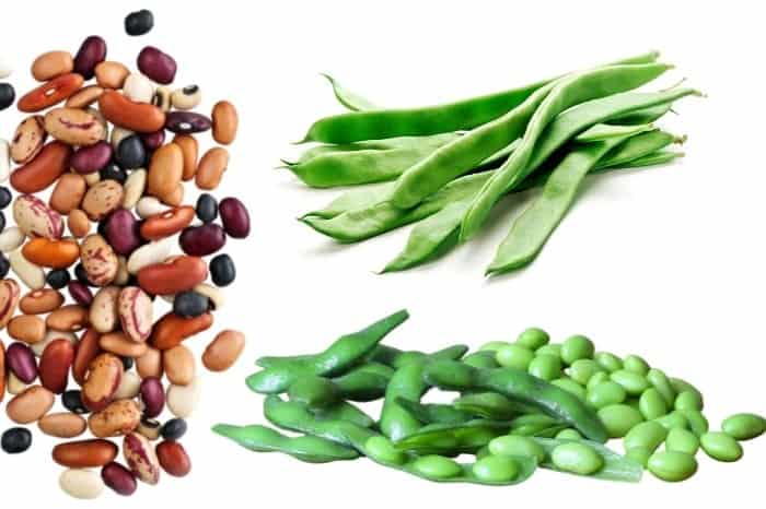 Types Of Beans