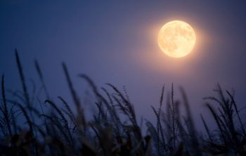 What Does A Harvest Moon Mean?