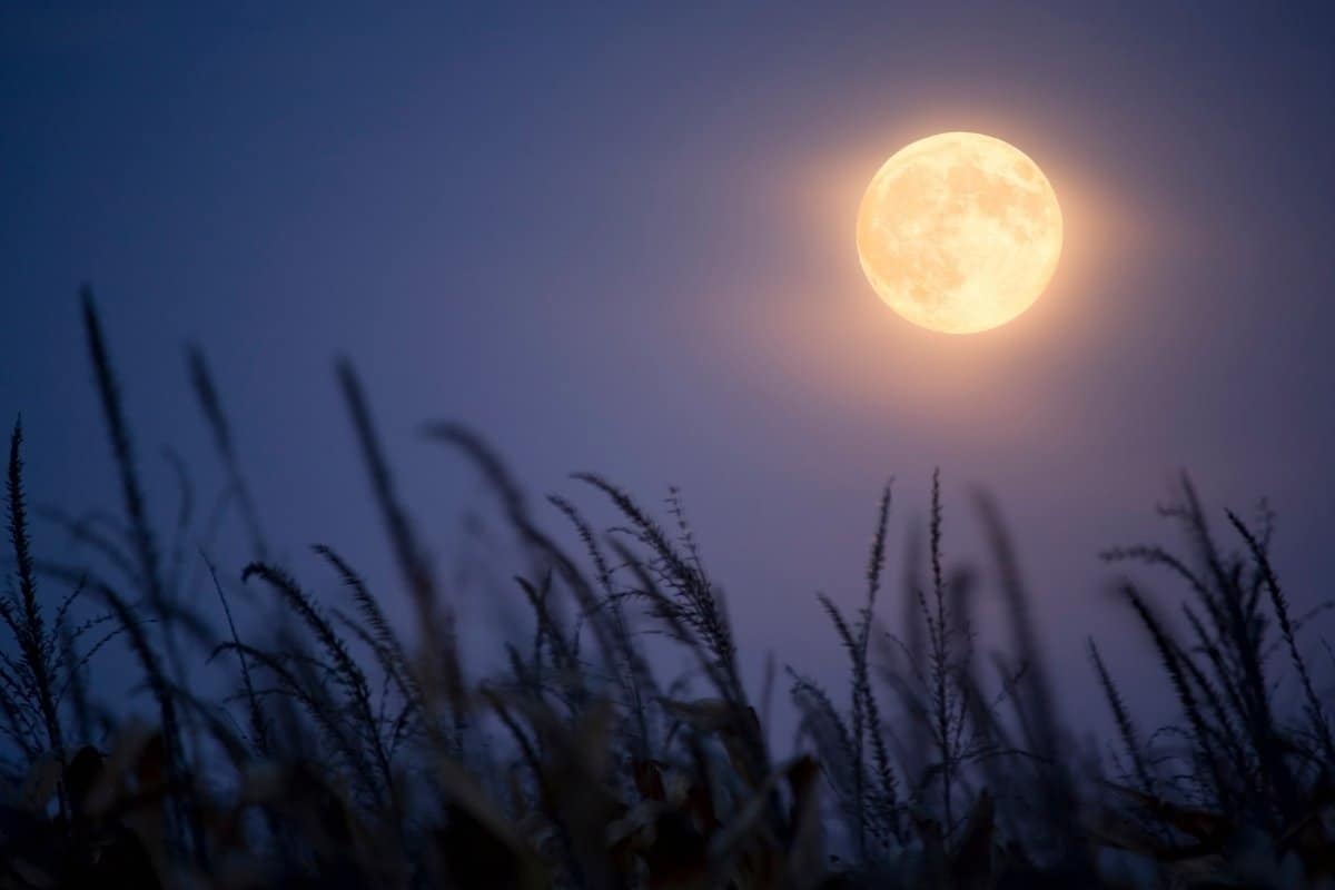 What Does A Harvest Moon Mean?