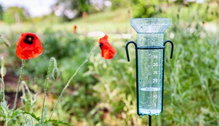 Top List On How To Measure And Use A Rain Gauge