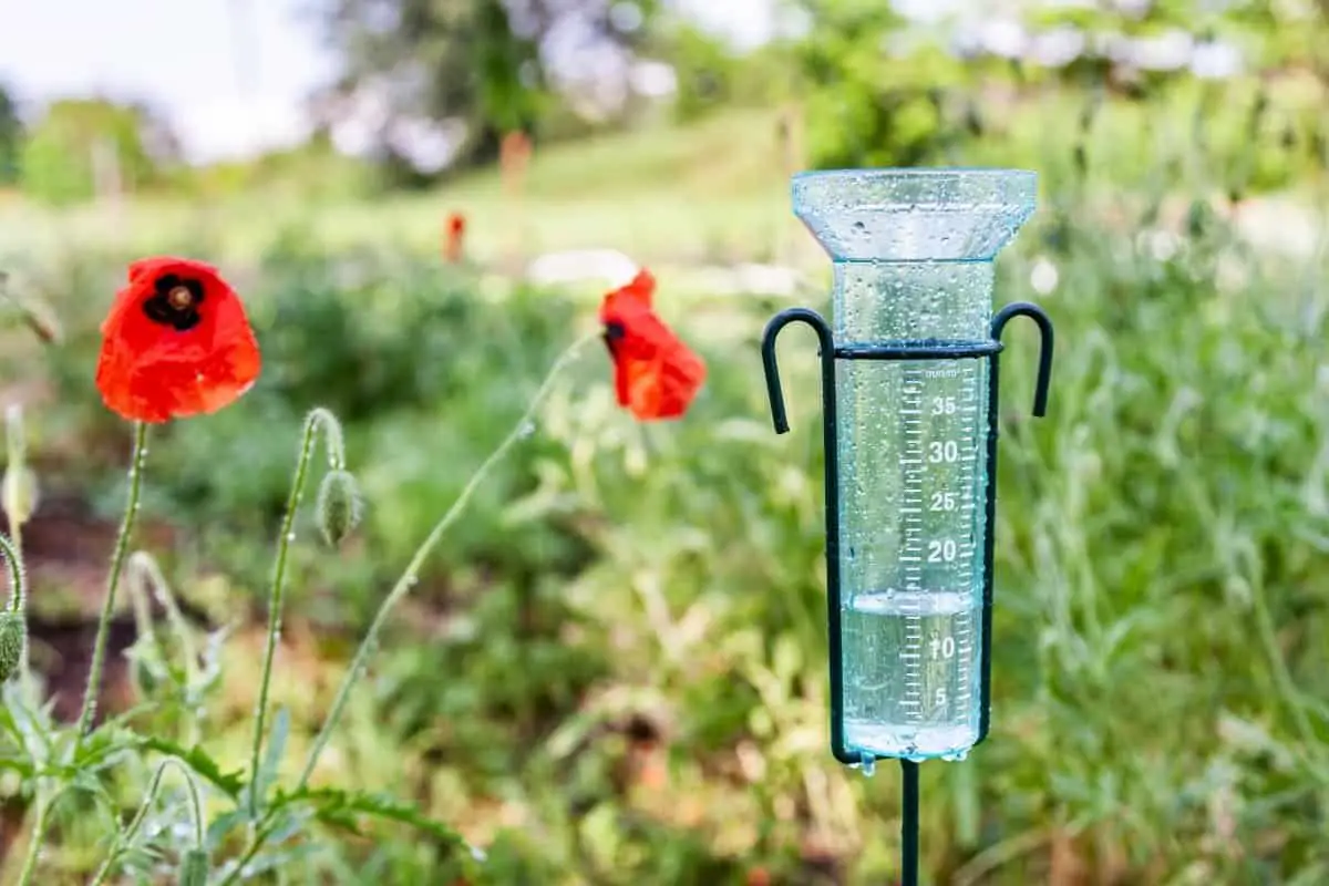 Top List On How To Measure And Use A Rain Gauge