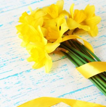 What To Do With Daffodils After Flowering