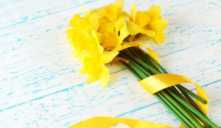 What To Do With Daffodils After Flowering
