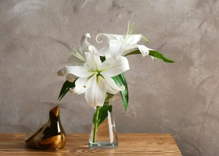 how long do lilies last in a vase