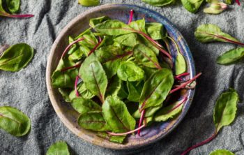 How To Freeze Beet Greens The Perfect Way