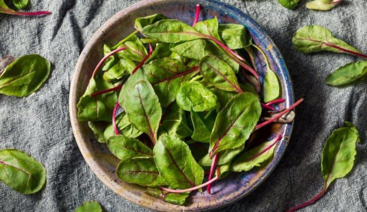 How to Freeze Beet Greens How-To-Freeze-Beet-Greens-The-Perfect-Way-730x422