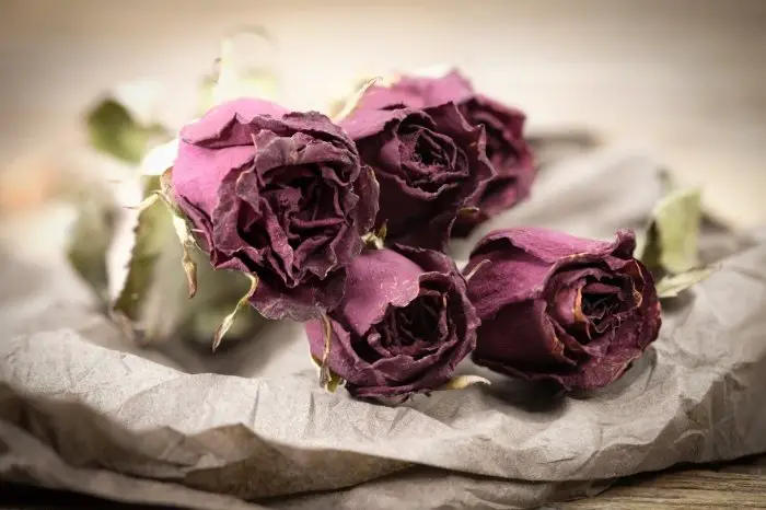 How To Make Potpourri From Dead Roses