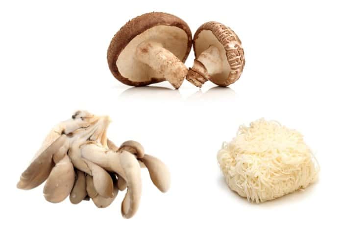 What Are The Best Mushrooms To Grow For Beginners
