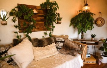 An In-depth Look At  Indoor Plant Lights Decorative