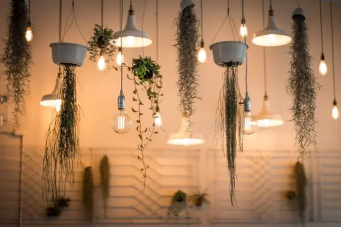 Types Of Indoor Plant Lights Decorative